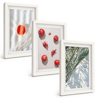 BILDER SET 3er Set - 20x30 cm Weißer Rahmen - Feiertagspalmenfrüchte - Weiß, Kunststoff (20/30cm) - TULUP