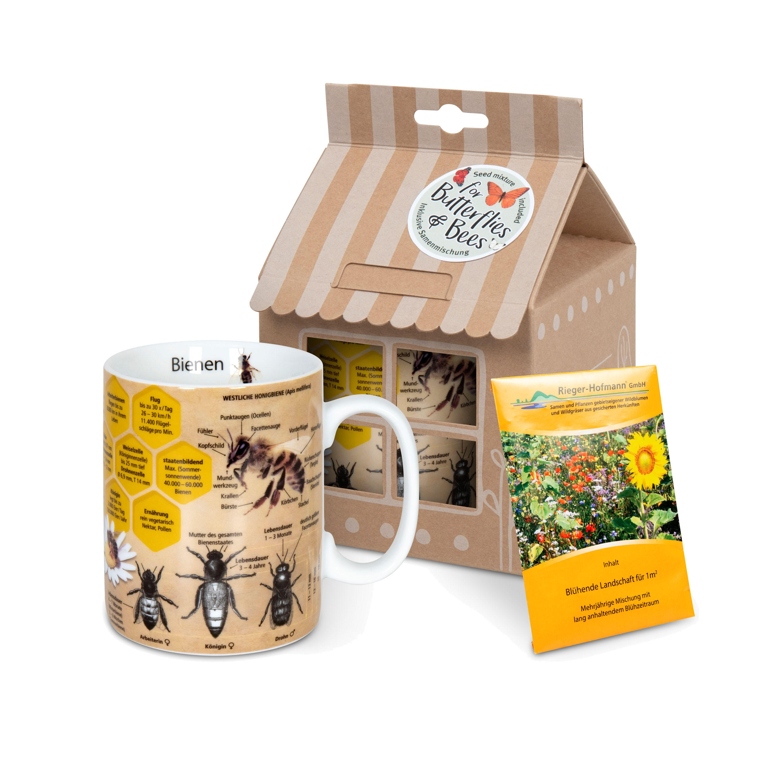 WISSENSBECHER Biene mit Samentüte in Geschenkbox - Naturfarben, Keramik (0.49L) - Könitz