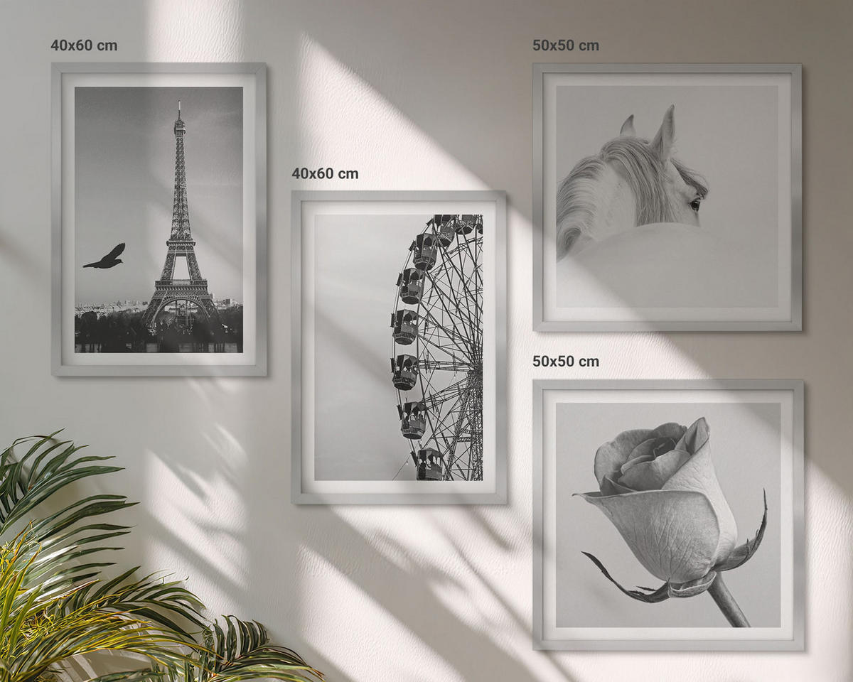 BILDER SET 4er Set - 50x50 cm & 40x60 cm Silberner Rahmen - Rose Eiffelturm Pferd Riesenrad S/W - Silberfarben, Kunststoff (50/50cm) - TULUP