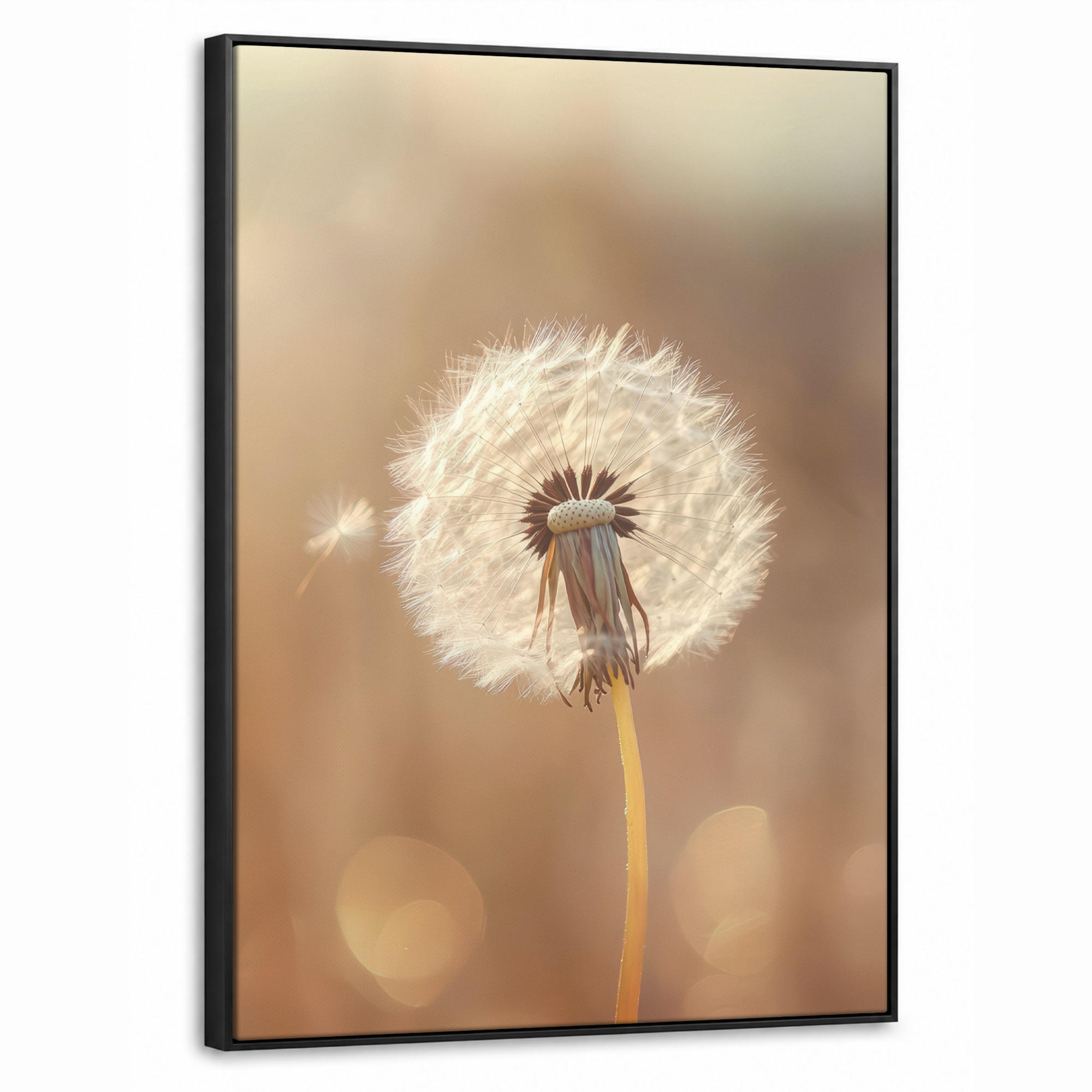 MuchoWow Leinwand Hellbraun 70x100 cm