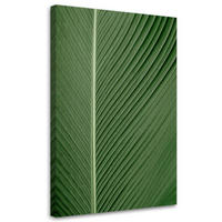 WANDBILD bananenblatt im makromaßstab - Grün, Textil (40/60cm) - Feeby