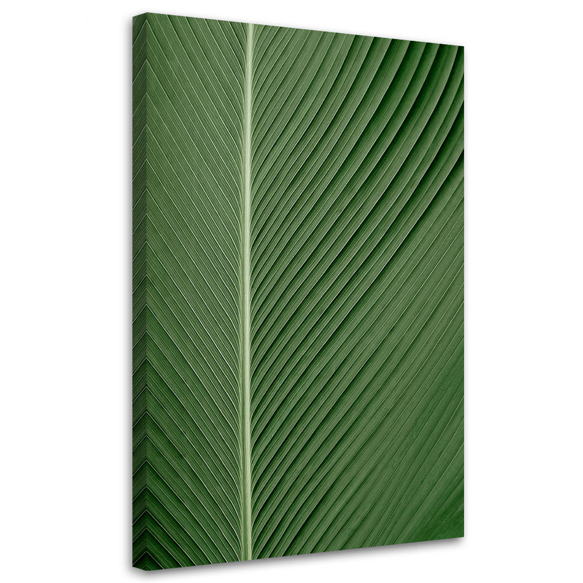 WANDBILD bananenblatt im makromaßstab - Grün, Textil (40/60cm) - Feeby