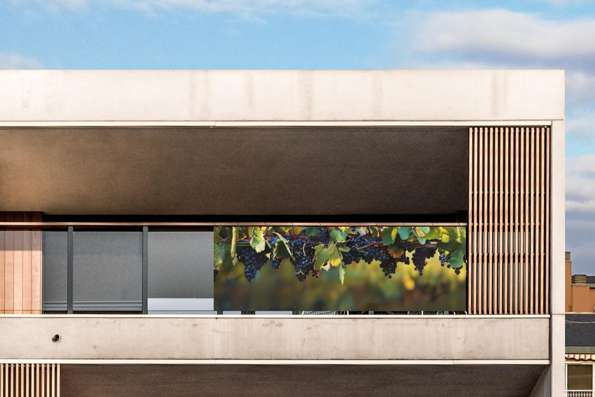 BALKON-SICHTSCHUTZ Trauben - Wein - Natur - Grün - Weinrot, Kunststoff (300/100cm) - MuchoWow