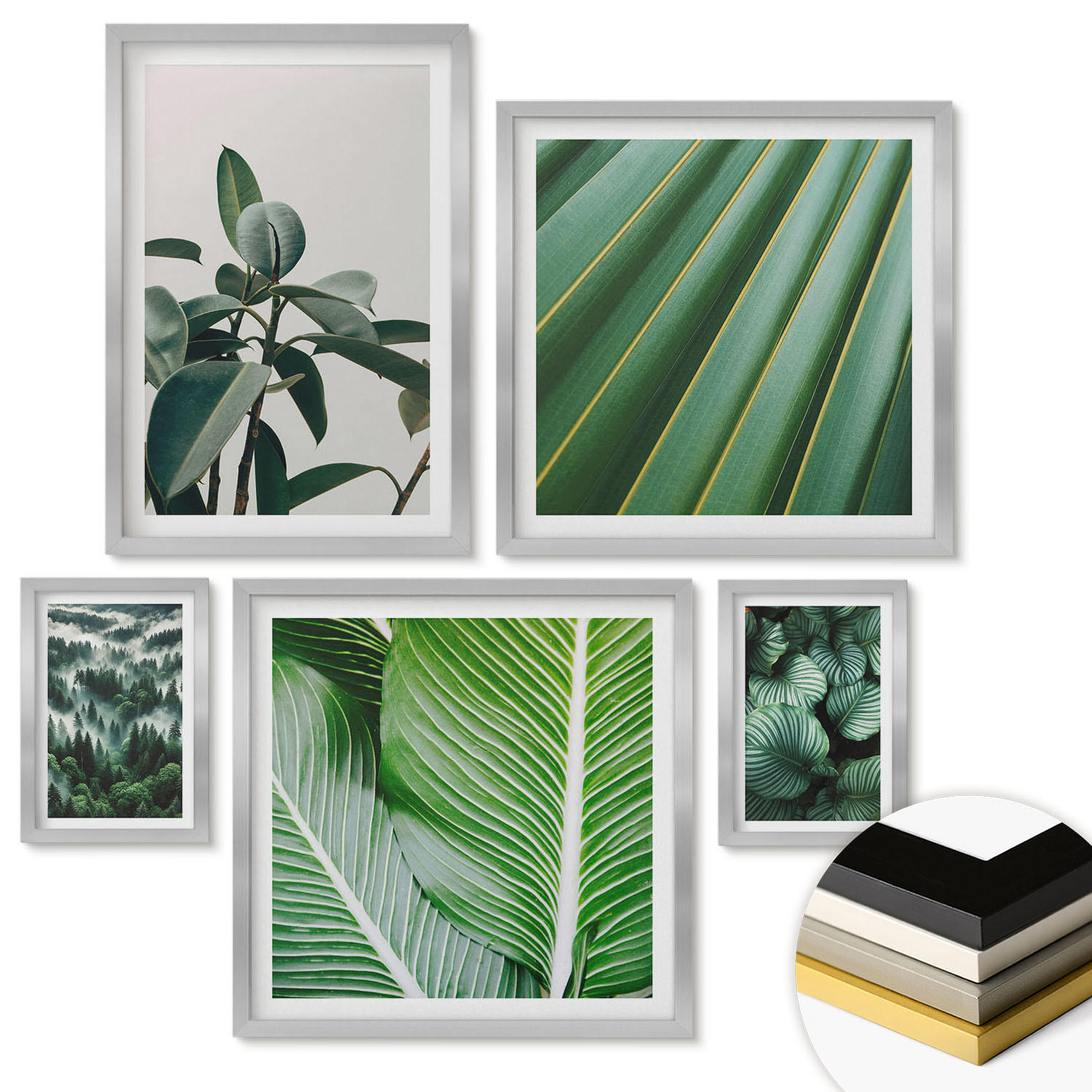 WANDBILDER 5er Set - 50x50 cm & 20x30 cm & 40x60 cm Silberner Rahmen - Tropische Blätter in Grün - Silberfarben, Kunststoff (40/60cm) - ArtPrintCave