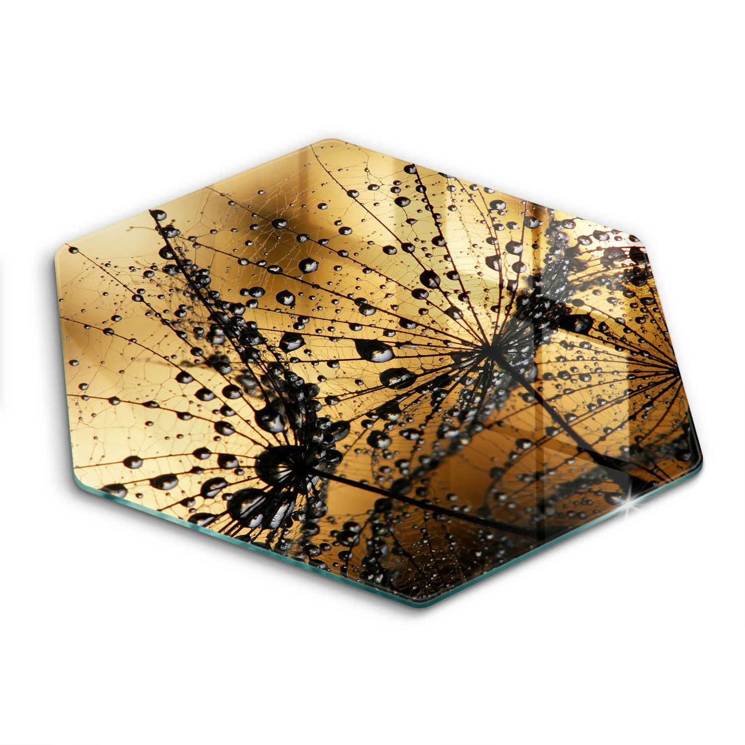 GLASPLATTE 40 cm Rosa und Pusteblumen - Gelb, Glas (40/40cm) - Wallfluent