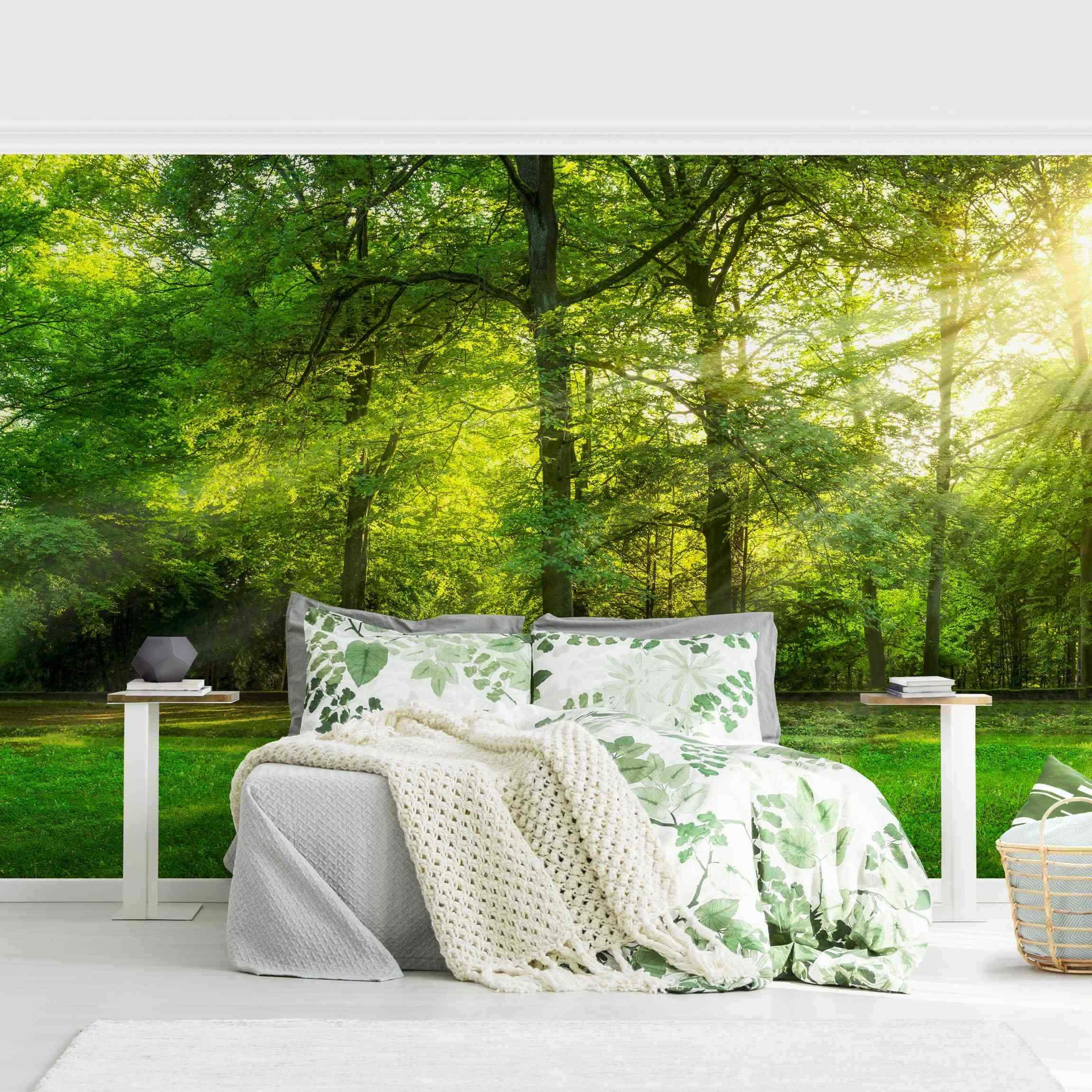 FOTOTAPETE Spaziergang im Wald 432/290 cm - Grün, Papier (432/290cm) - Bilderwelten