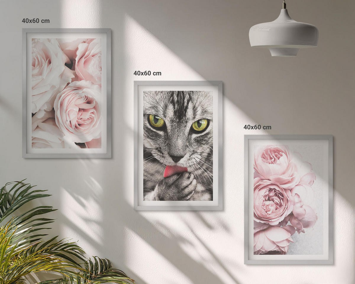 BILDER SET 3er Set - 40x60 cm Silberner Rahmen - Katze in rosa Blumen - Silberfarben, Kunststoff (40/60cm) - TULUP