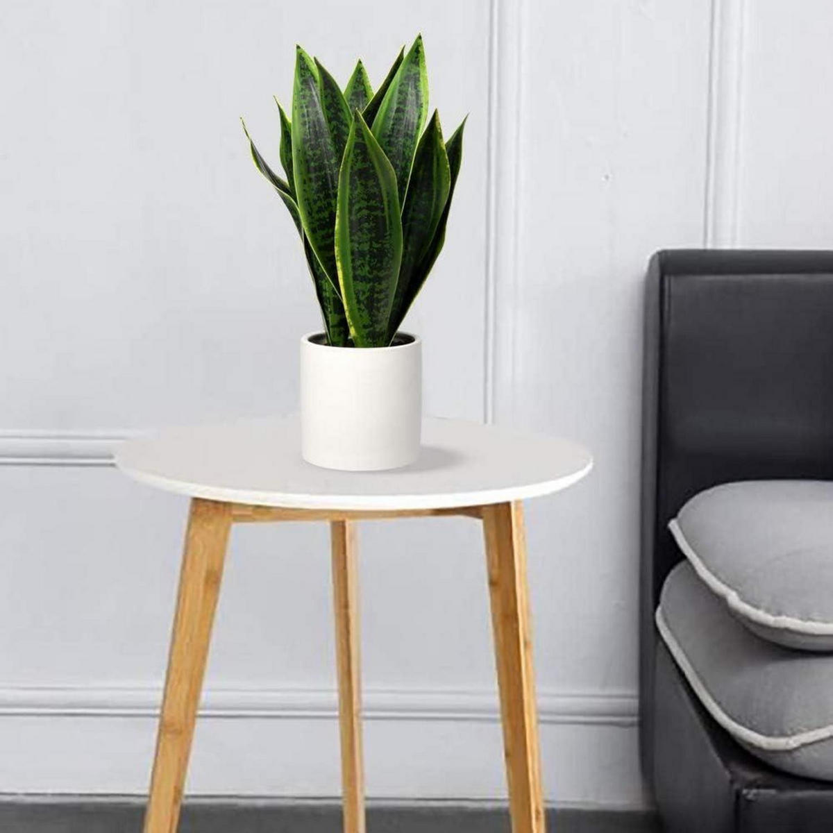 KUNSTPFLANZE Sansevieria mit weißem Keramiktopf 40.6 cm - Grün, Kunststoff (44cm)