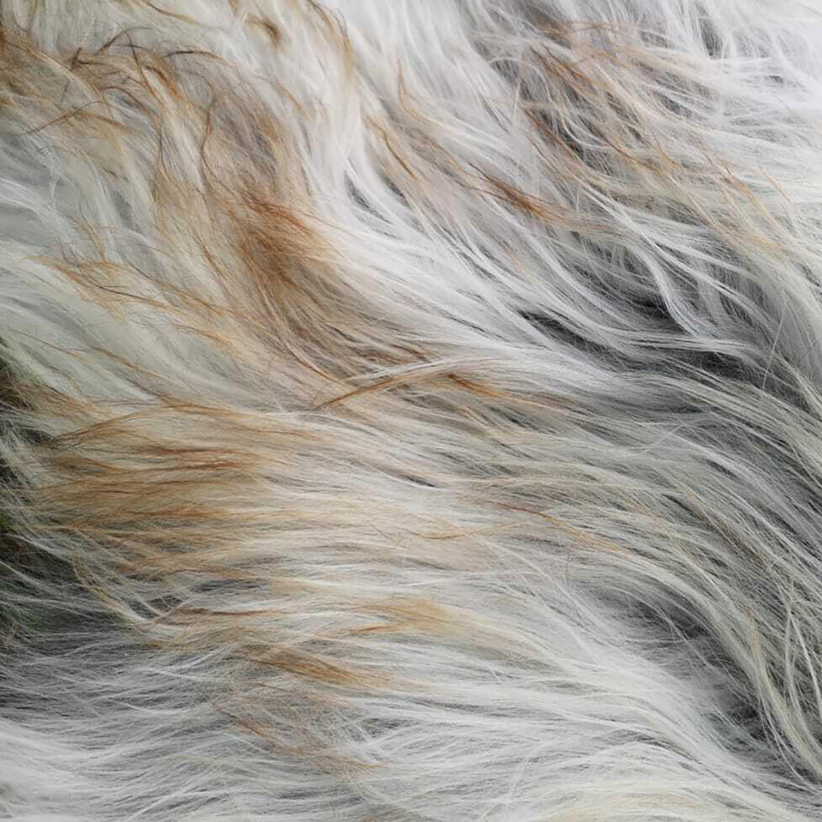 LAMMFELL Schnuckenfell Naturfarbe Langwolle Schwedisch ca. 80 cm - Weiß/Braun, Fell (40/80cm) - Provellus