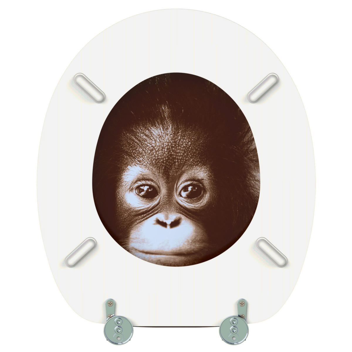 WC-SITZ Alfred - Braun, Holzwerkstoff (38/6/47cm) - Sanilo