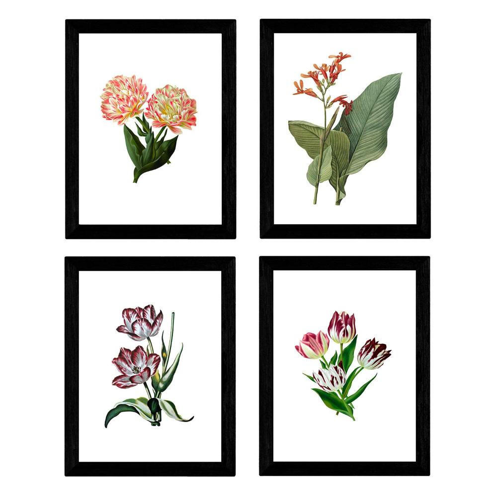 POSTER Set mit 4 botanischen Weiß Tulpen Regenbogen A3 Rahmenlos - Klar, Papier (29.7/3cm) - Nacnic