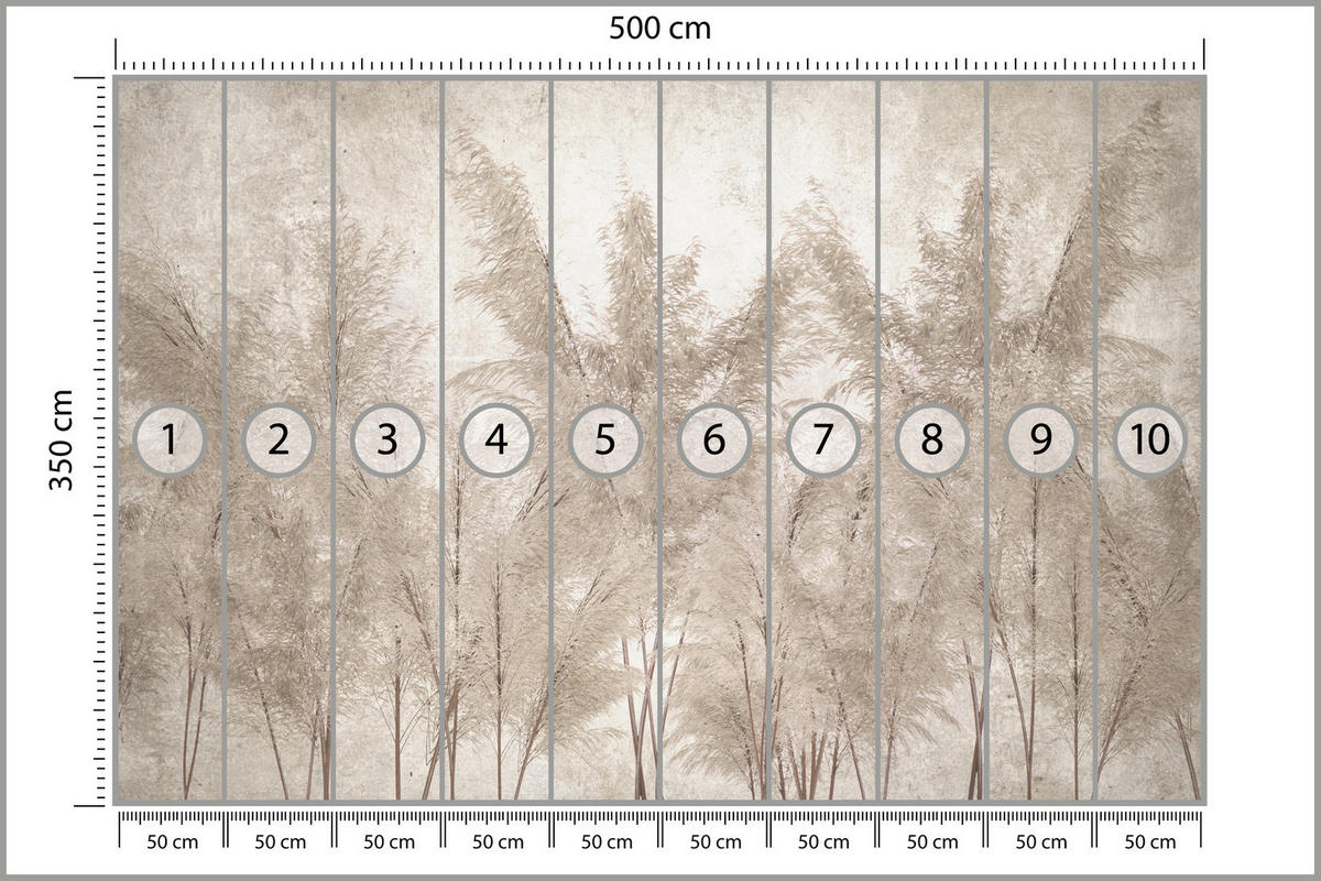FOTOTAPETE für Schlafzimmer Pampasgras Vintage Beige Boho 500x350 - Beige/Braun, Papier (500/350cm) - Muralo