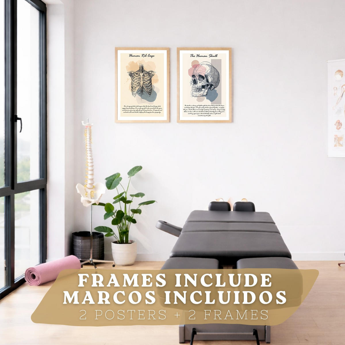 POSTER Set aus 2 Anatomie Mensch Lernposter Drucke und Wandbilder mit Skelett Rippen und Schädel Klinik Büro Dekoration Größe Leichter Holzrahmen A3 - Beige, Papier (29.7/42/3cm) - Nacnic