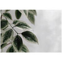 FOTOTAPETE Blätter Beton Grün 312x219 cm - Multicolor, Textil (312/219cm) - Wallarena