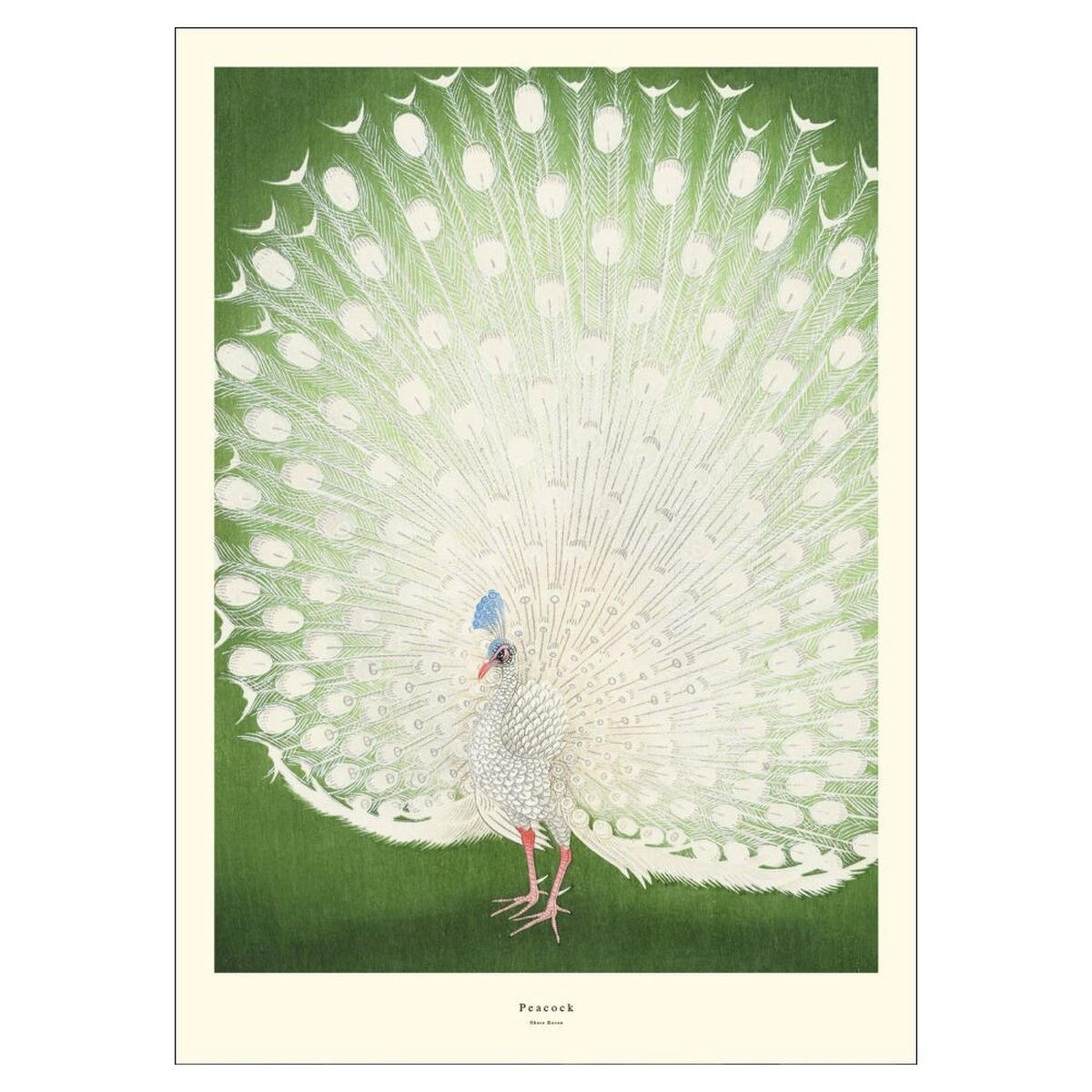 POSTER A.P. Atelier - Peacock - Grün, Papier (50/70/0.1cm) - Poster&Frame