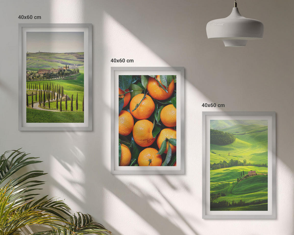 BILDER SET 3er Set - 40x60 cm Silberner Rahmen - Italienische Landschaft mit Orangen - Silberfarben, Kunststoff (40/60cm) - TULUP