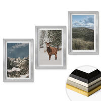 WANDBILDER 3er Set - 20x30 cm Silberner Rahmen - Berge, Schnee, Hirsche, Waldlandschaft - Silberfarben, Kunststoff (20/30cm) - ArtPrintCave