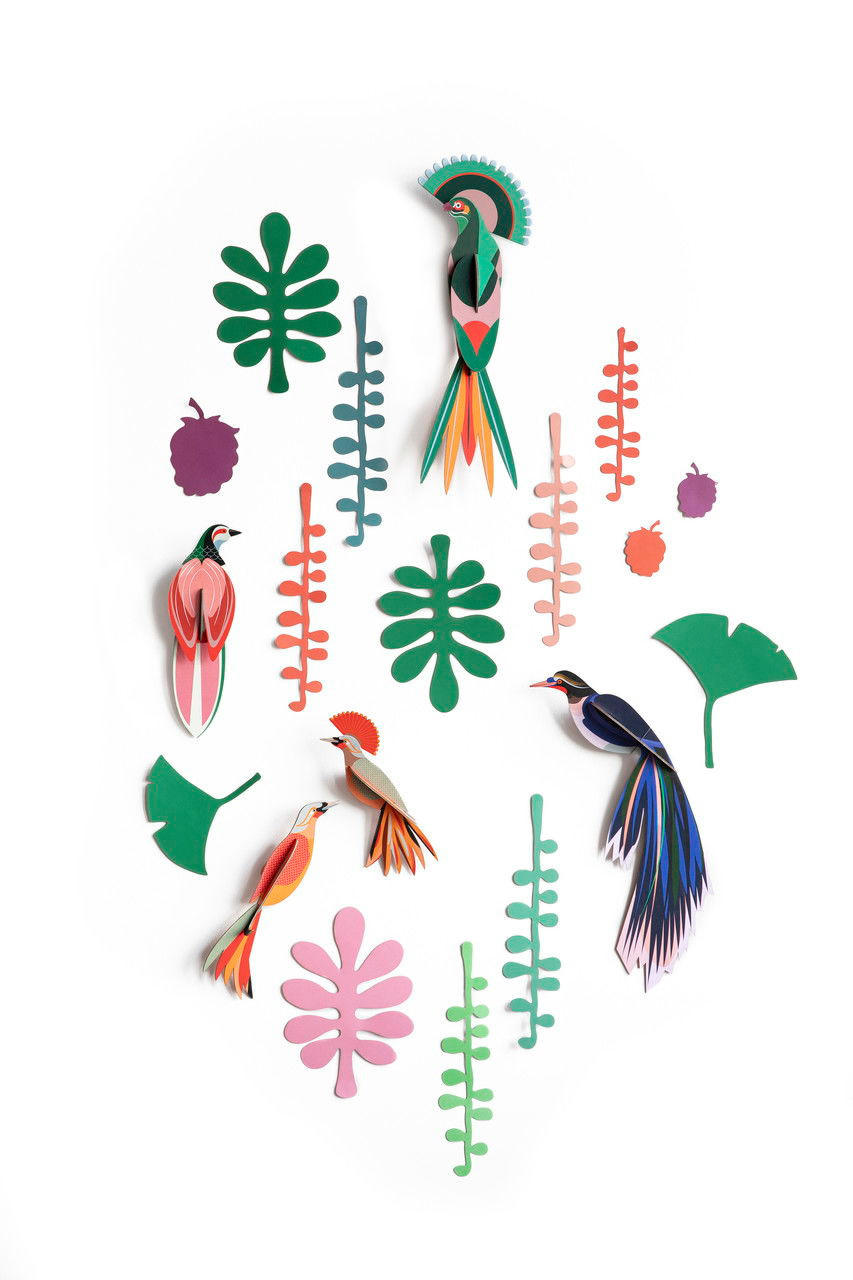 WANDDEKO Vogel-Set 20/5 cm - Multicolor/Grün, Wellpappe (20/5/36cm) - KUNSTLOFT