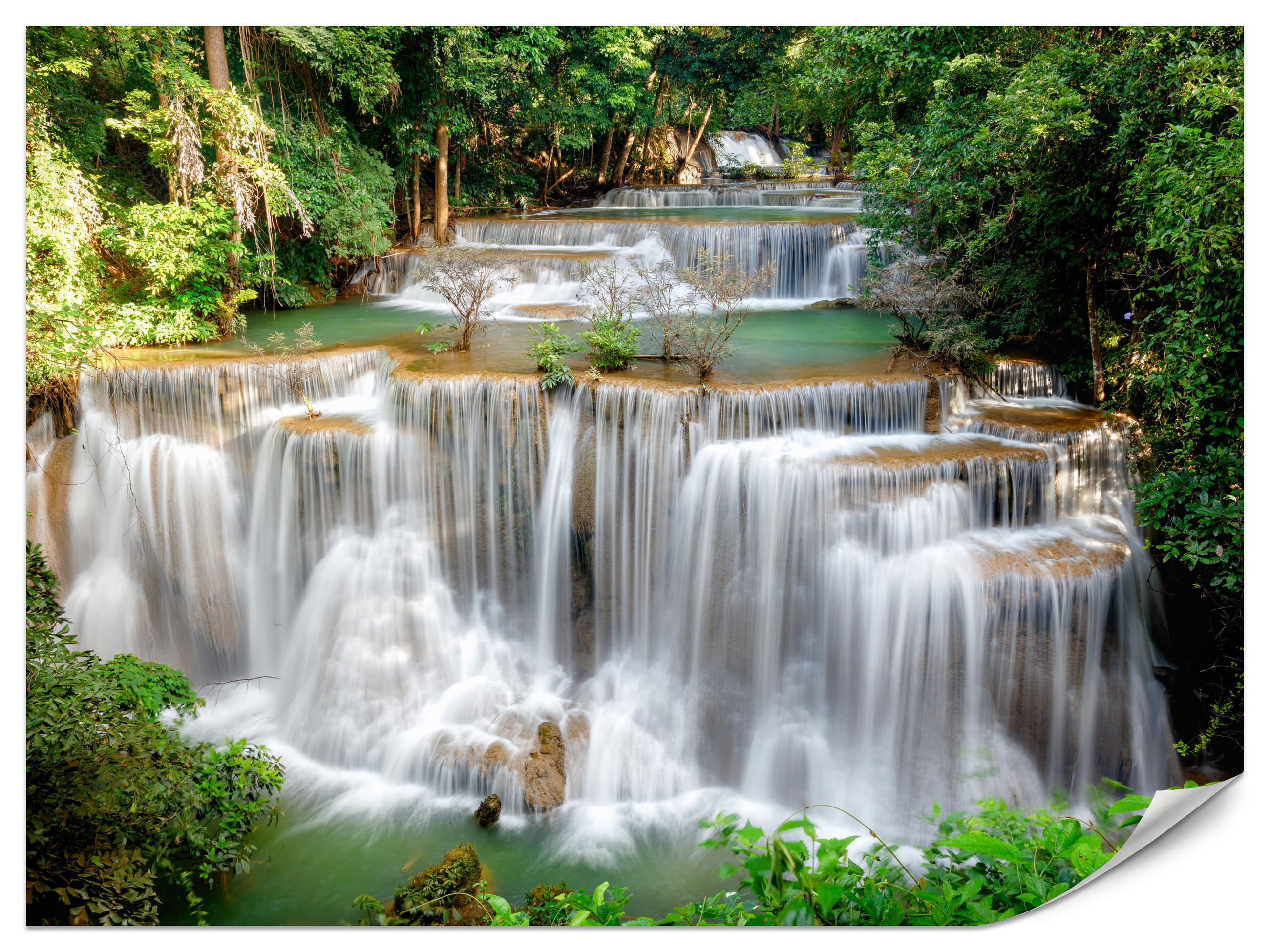 FOTOTAPETE für Esszimmer Panorama Waldwasserfall Bäume Pflanzen Natur 300x210 - Beige/Braun, Papier (300/210cm) - Muralo