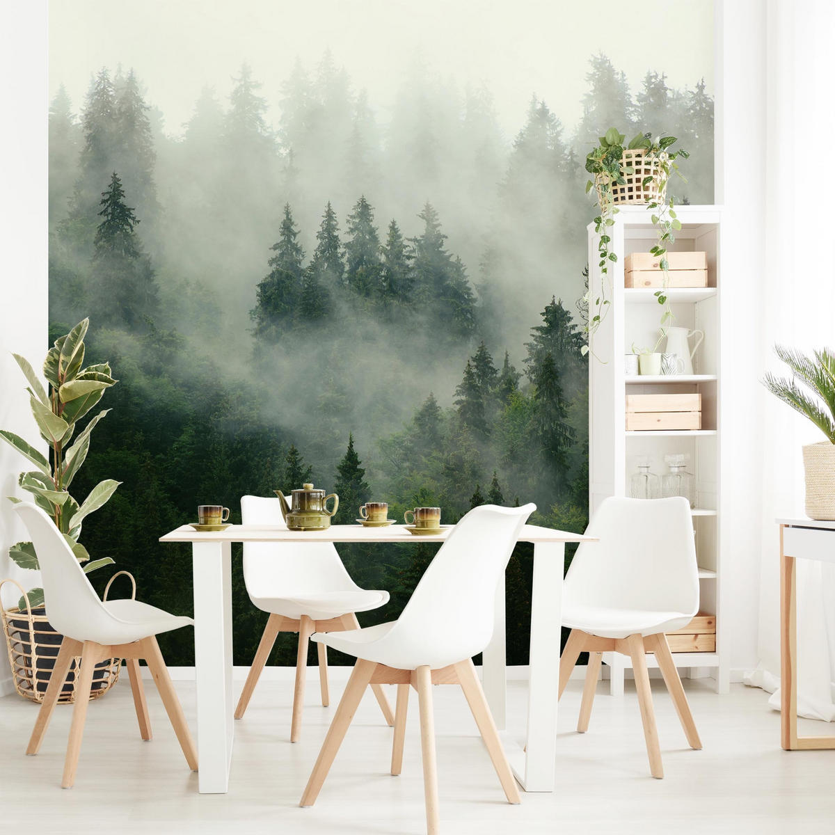 FOTOTAPETE Tiefgrüner Tannenwald im Nebel 240/240 cm - Grün, Papier (240/240cm) - Bilderwelten
