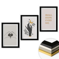 WANDBILDER 3er-Set - 20x30 cm Schwarzer Rahmen - Minimalistische Boho-Illustrationen - Schwarz, Kunststoff (20/30cm) - ArtPrintCave