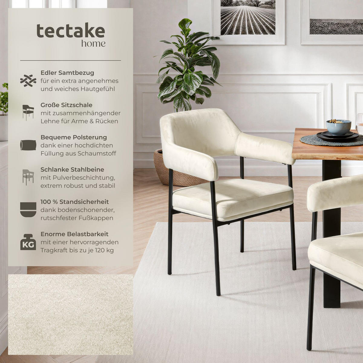 ARMLEHNSTUHL 2er Set Doé 58 x 62 x 85 cm Samtoptik off-white - Weiß/Samtahornfarben, Textil (58/85/62cm) - tectake