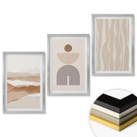WANDBILDER 3er Set - 40x60 cm Silberner Rahmen - Abstrakte Landschafts- und Naturgeometrie - Silberfarben, Kunststoff (40/60cm) - ArtPrintCave