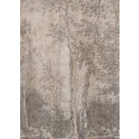 FOTOTAPETE - Birkenbäume - Pink/Braun, Papier/Kunststoff (200/270cm) - LOOKS by W.Joop