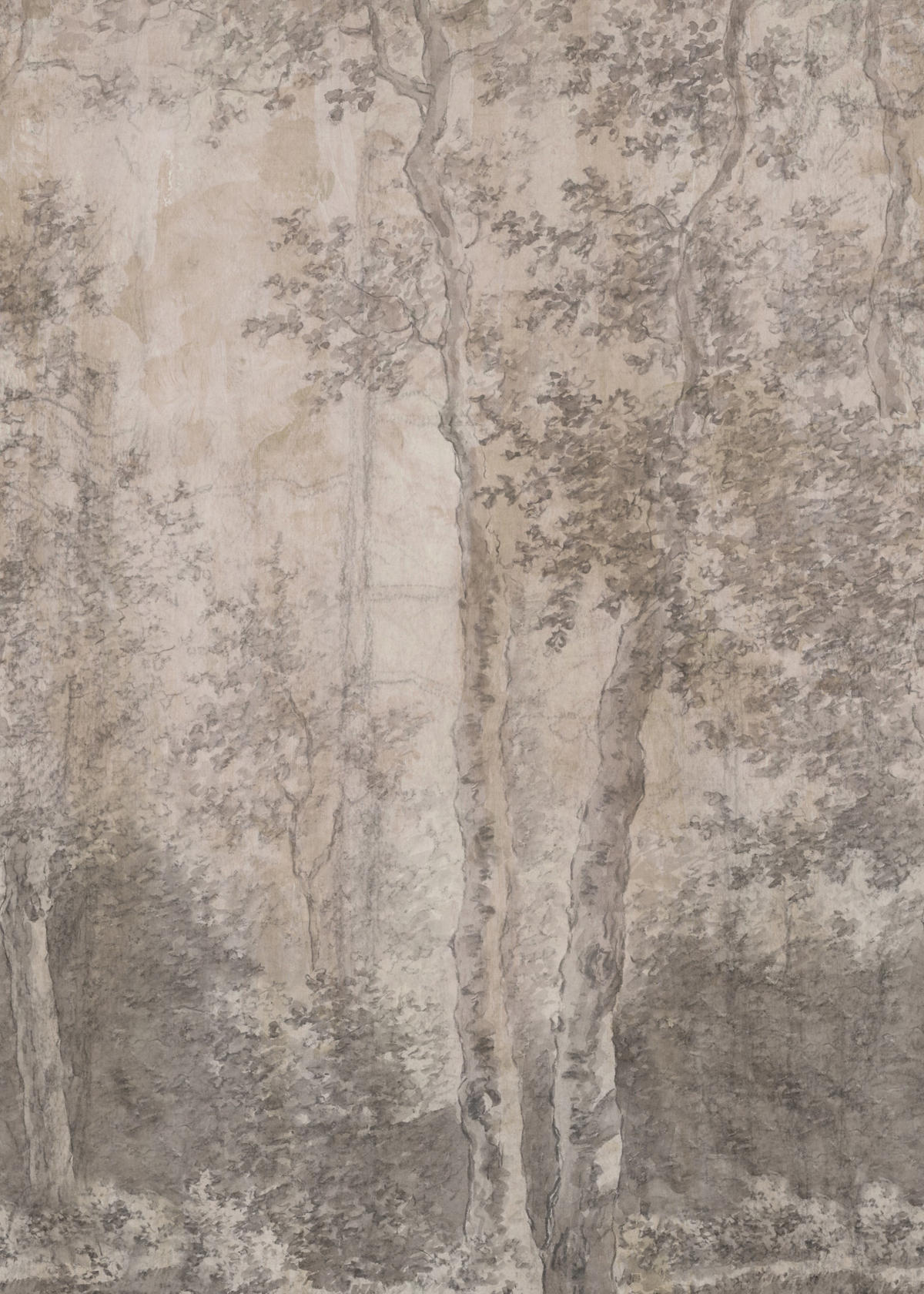 FOTOTAPETE - Birkenbäume - Pink/Braun, Papier/Kunststoff (200/270cm) - LOOKS by W.Joop