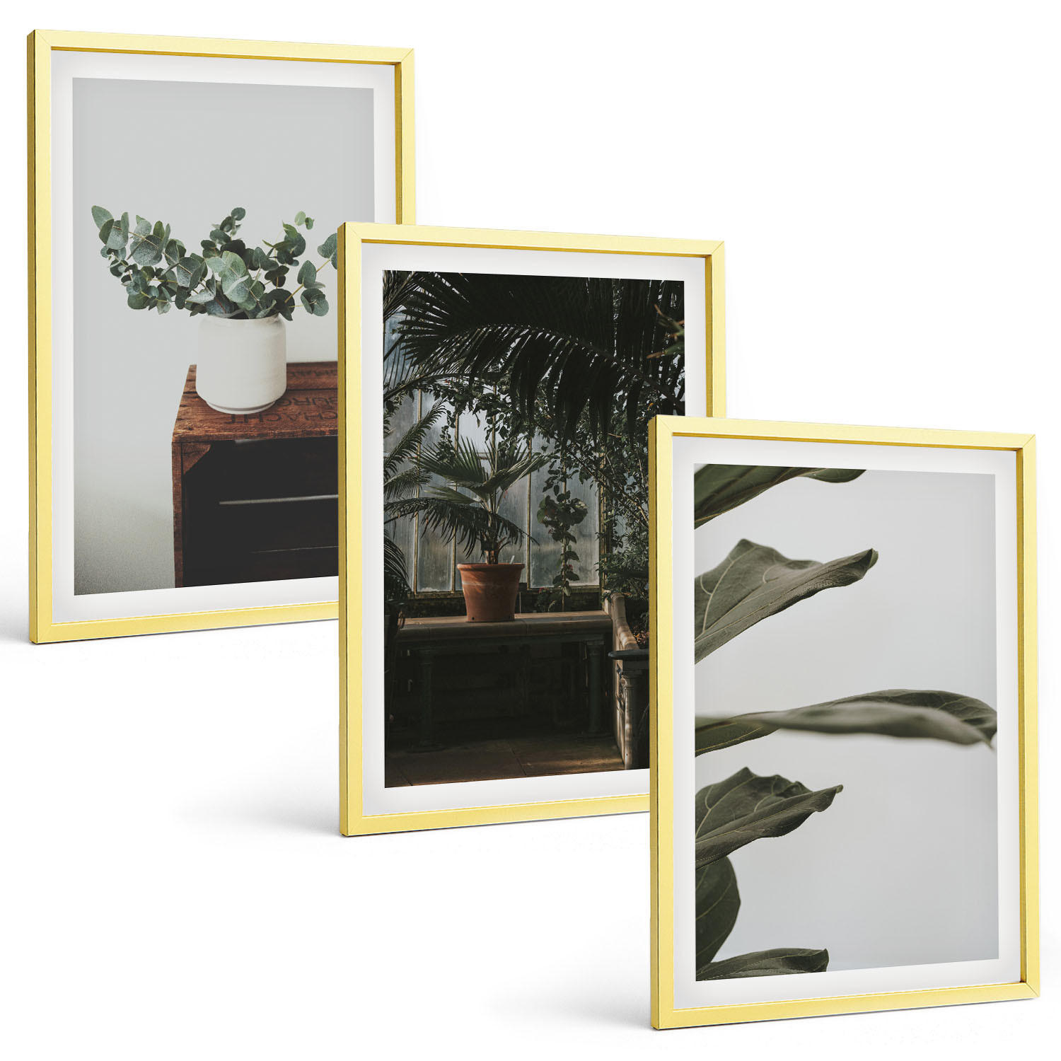 BILDER SET 3er Set - 40x60 cm Goldrahmen - Rustikale Topfpflanzen - Goldfarben, Kunststoff (40/60cm) - TULUP