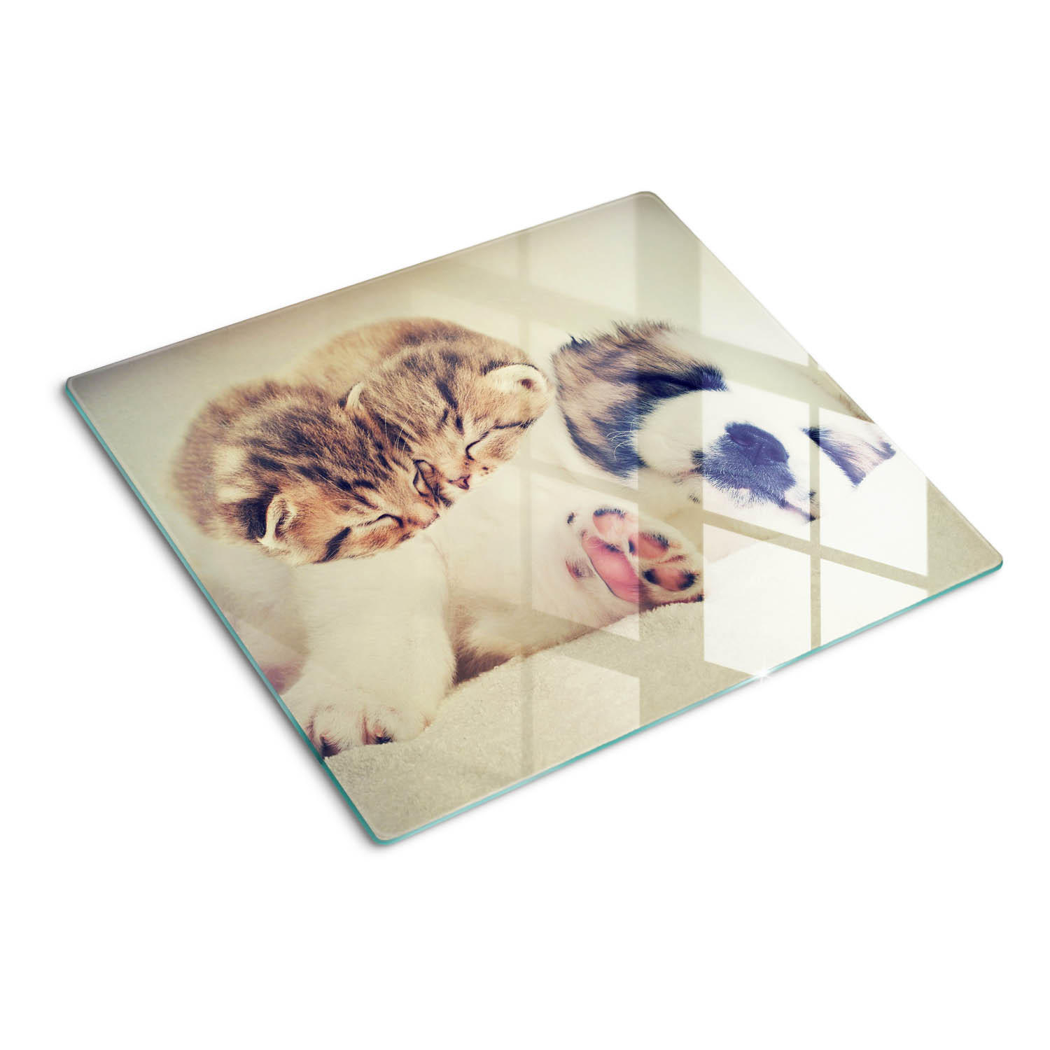 GLASPLATTE 60x52 cm Katzen und Hunde - Pink/Braun, Glas (60/0.4/52cm) - TULUP