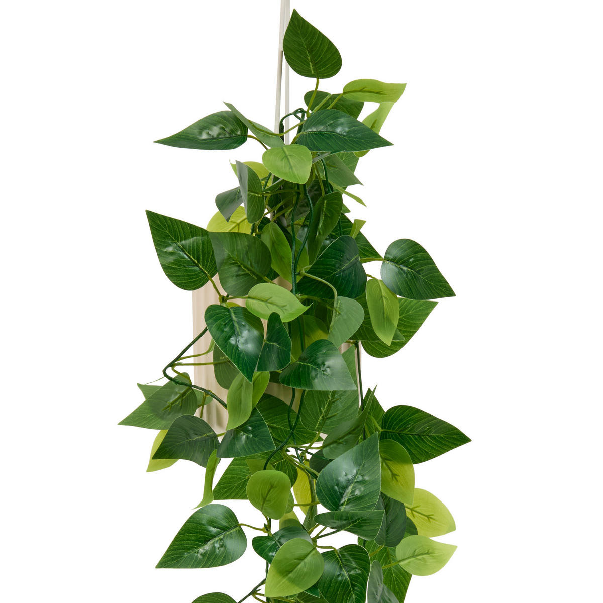 PFLANZE Keramiktopf Poolsie 14/12,5/82 cm - Beige, Keramik (82cm) - Atmosphera Createur d´interieur