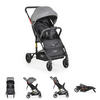 KINDERWAGEN Colibri grau faltbar, verstellbar, 5-Punkt-Gurt, ab 6 Monaten - Grau, Metall (75/51/97cm) - Moni
