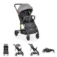 KINDERWAGEN Colibri grau faltbar, verstellbar, 5-Punkt-Gurt, ab 6 Monaten - Grau, Metall (75/51/97cm) - Moni