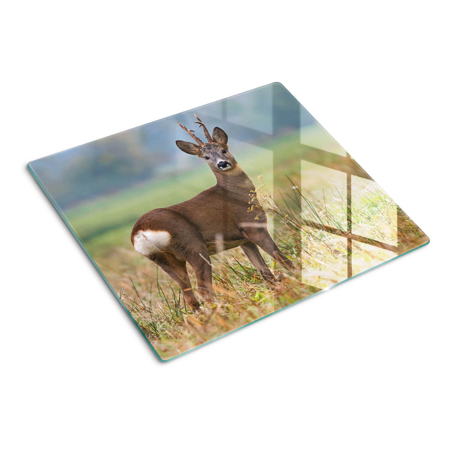 GLASPLATTE 60x52 cm Reh - Braun/Grün, Glas (60/0.4/52cm) - TULUP