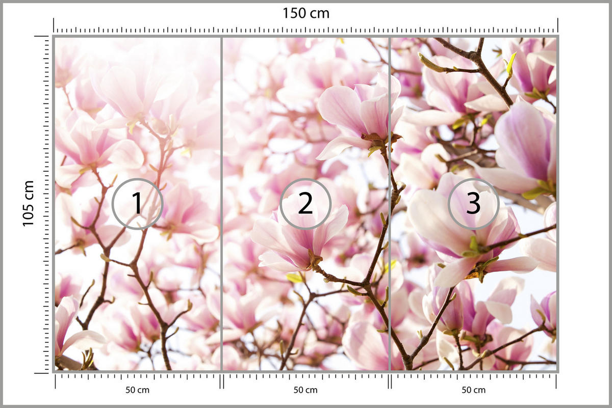 FOTOTAPETE für Schlafzimmer Rosa Magnolienblüten Floral Delikat 150x105 - Violett/Rosa, Papier (150/105cm) - Muralo