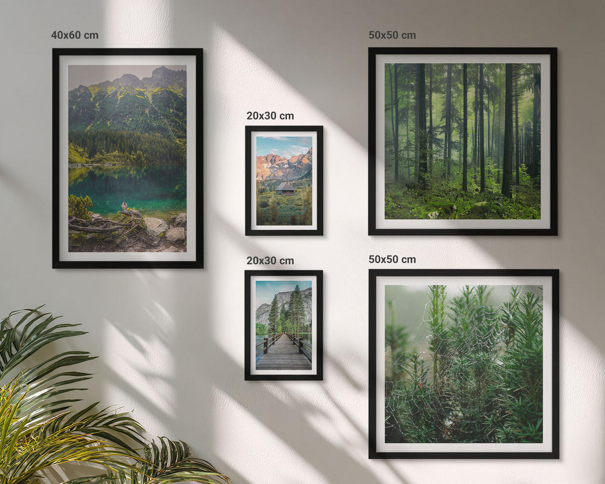 BILDER SET 5er Set - 50x50 cm & 20x30 cm & 40x60 cm Schwarzer Rahmen - Minimalistische Pflanzenzeichnungen - Schwarz, Kunststoff (40/60cm) - TULUP