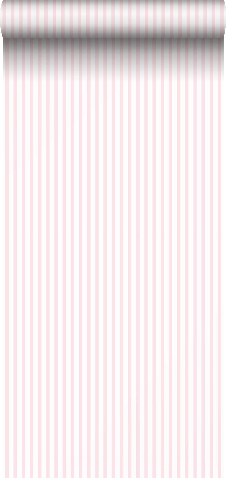 TAPETE Streifen 53 cm x 10 m - Pink, Papier (53/0.1cm) - Sanders & Sanders