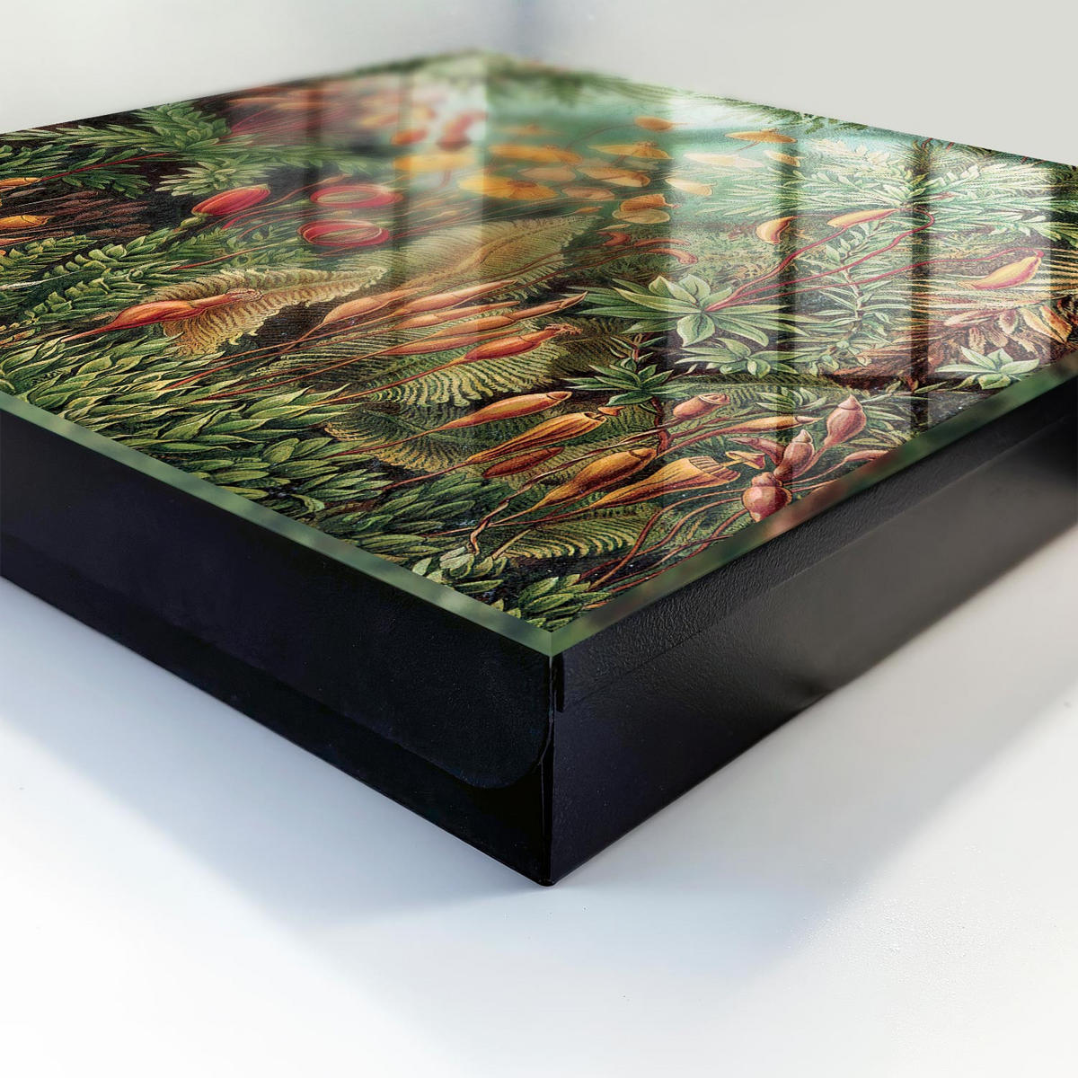 SCHLÜSSELBOX Schwarz 30x30 cm- Türöffnung nach rechts - Grüne Blätter - Grün, Metall (30/30/5cm) - TULUP
