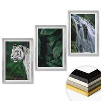 WANDBILDER 3er Set - 40x60 cm Silberner Rahmen - Wasserfall aus weißen Tigerblättern - Silberfarben, Kunststoff (40/60cm) - ArtPrintCave