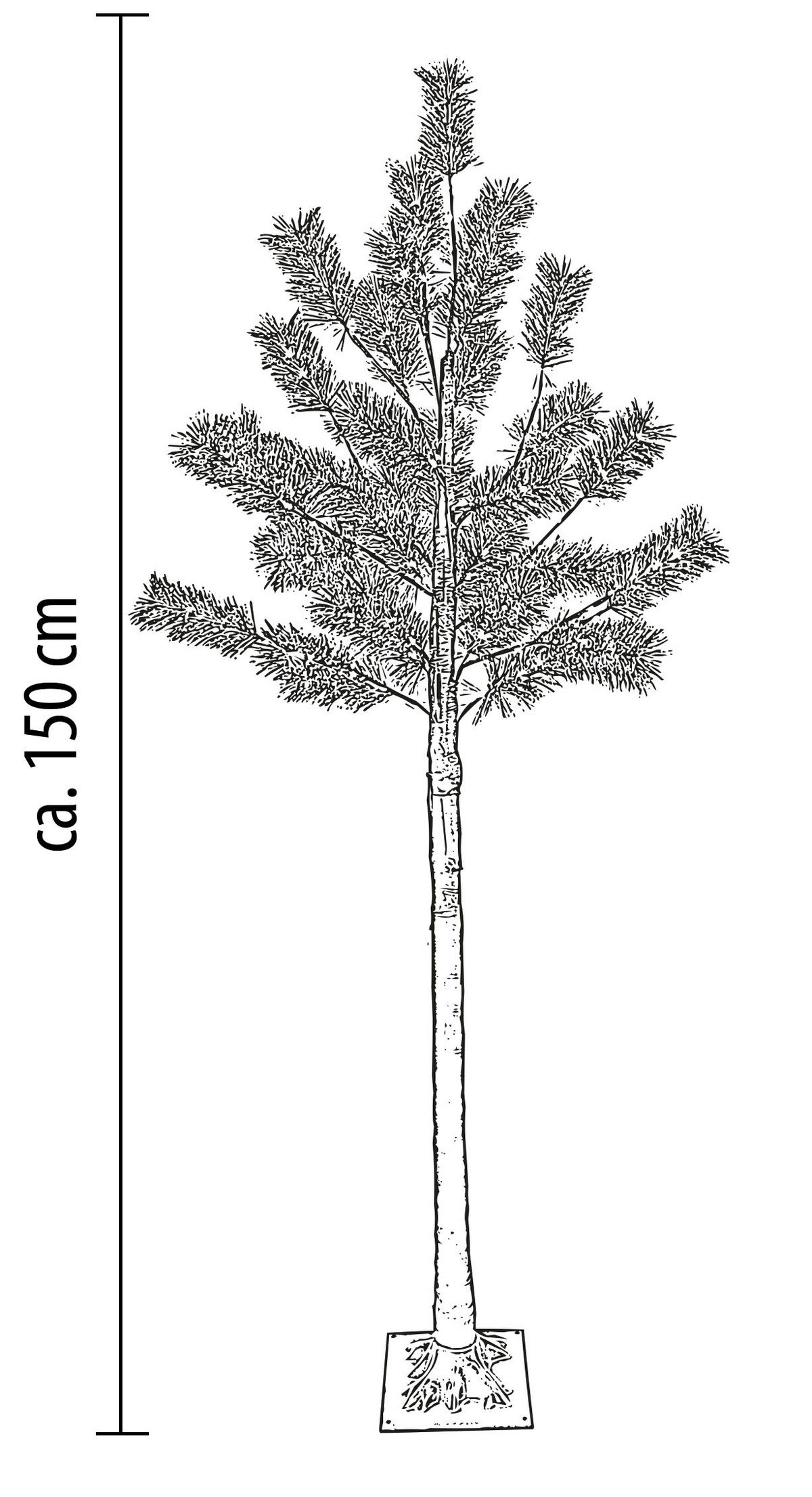 LED-TANNENBAUM - 150 cm hoch mit 240 warmweißen LEDs und Timer-Funktion für stimmungsvolle Winterdeko - Braun, Kunststoff (17/17/150cm) - Northpoint