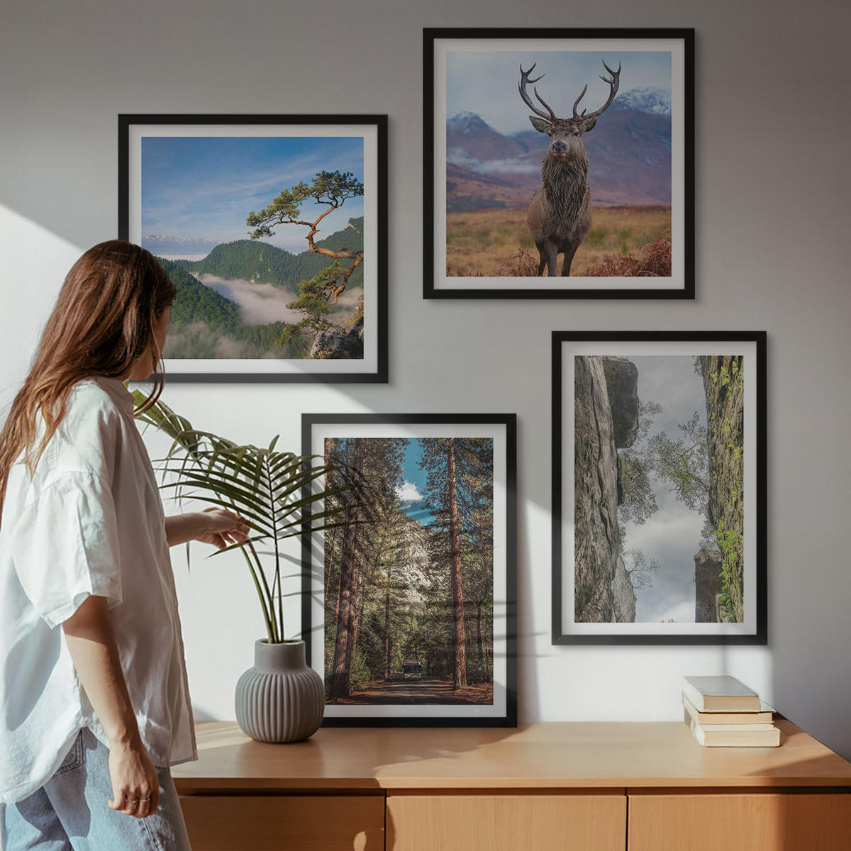 BILDER SET 4er Set - 50x50 cm & 40x60 cm Schwarzer Rahmen - Straße Wald Berge Hirsch Natur - Schwarz, Kunststoff (50/50cm) - TULUP