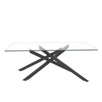 COUCHTISCH Schwarz 120/60/46 cm - Schwarz, Glas (60/120/46cm) - PANGIVO