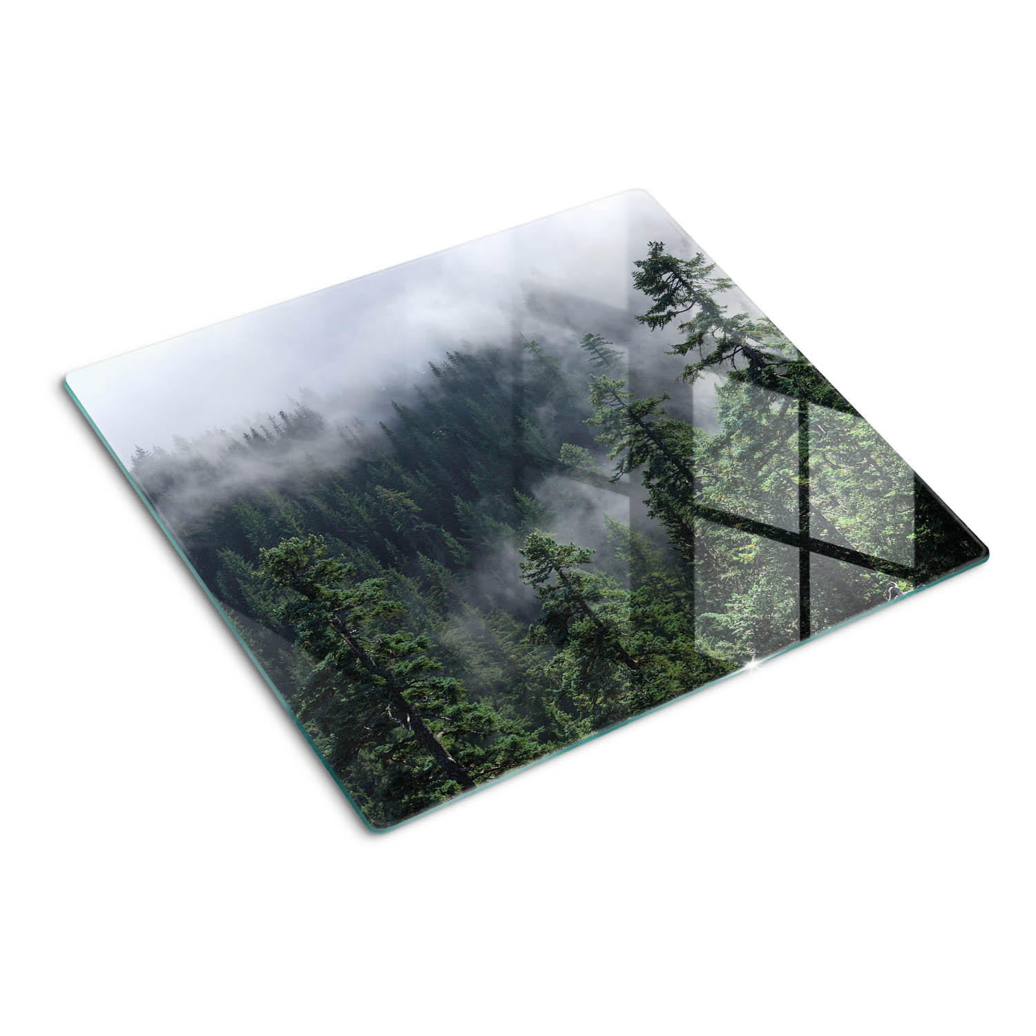 GLASPLATTE 60x52 cm Waldnebel - Grün, Glas (60/0.4/52cm) - TULUP