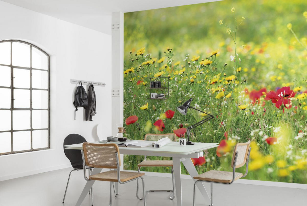 FOTOTAPETE Blumen 450 x 280 cm - Grün, Papier (450/280cm) - Sanders & Sanders