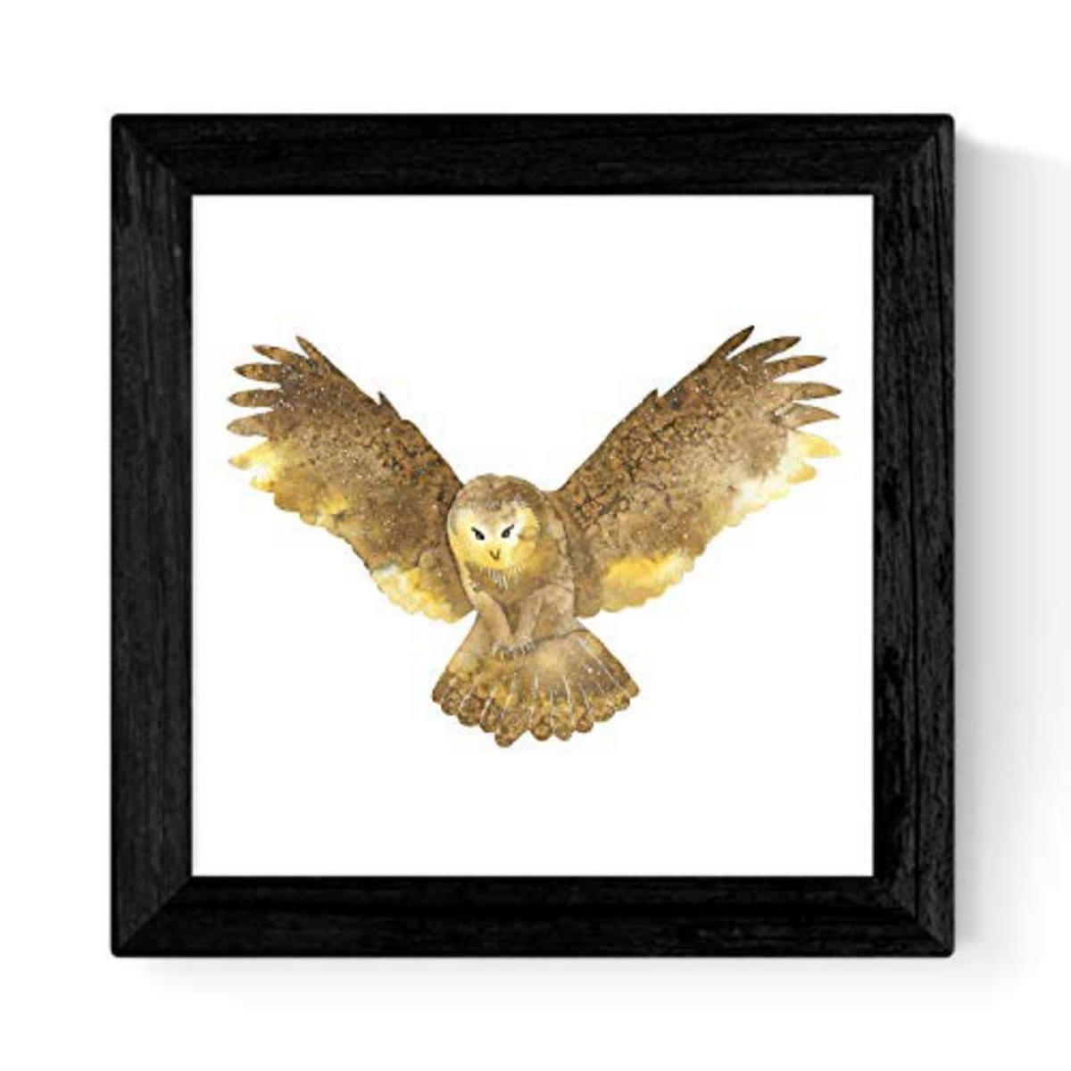 POSTER Se 4 Tieren 30x30 cm Schwarzer Rahmen - Schwarz, Papier (30/3cm) - Nacnic