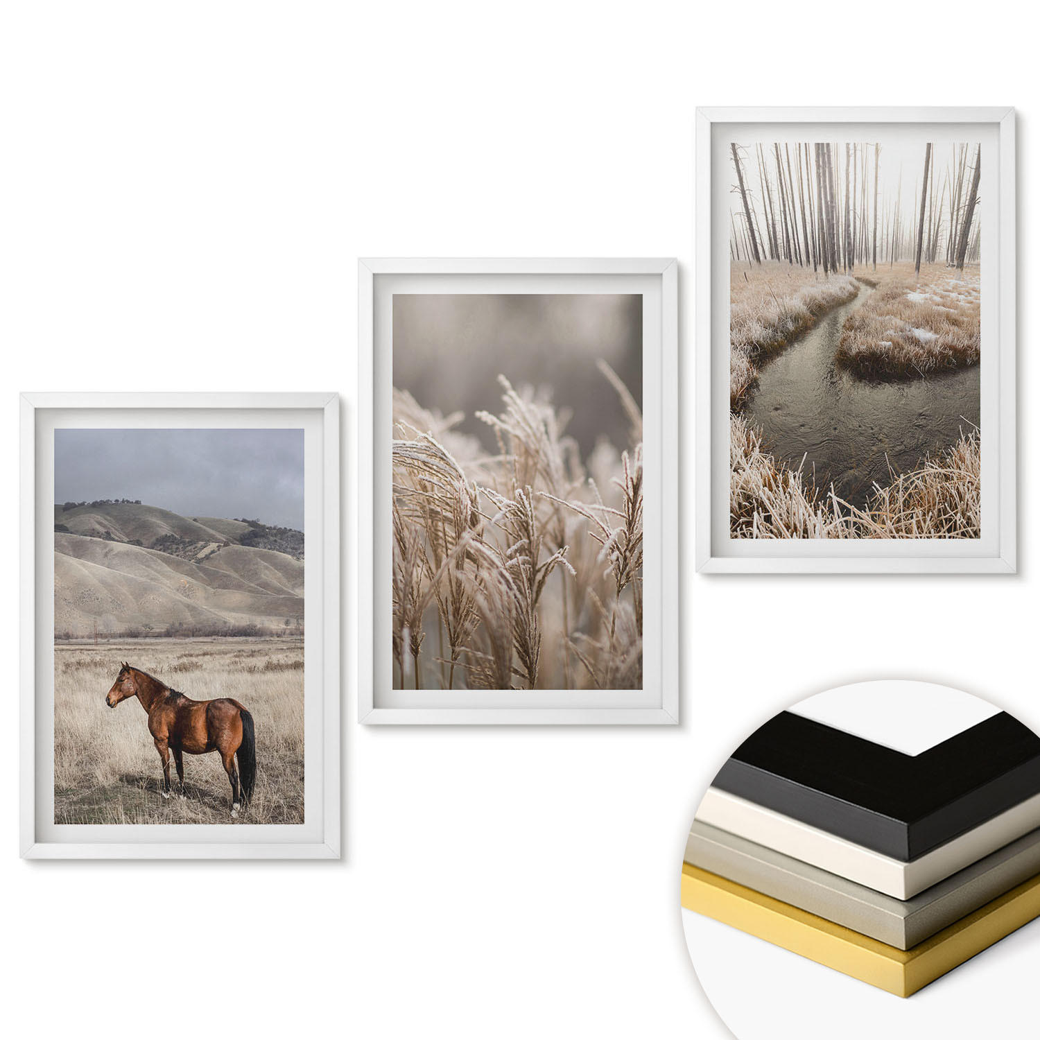 WANDBILDER 3er-Set - 40x60 cm Weißer Rahmen - Pferde, Landschaft, Gras, Bach - Weiß, Kunststoff (40/60cm) - ArtPrintCave