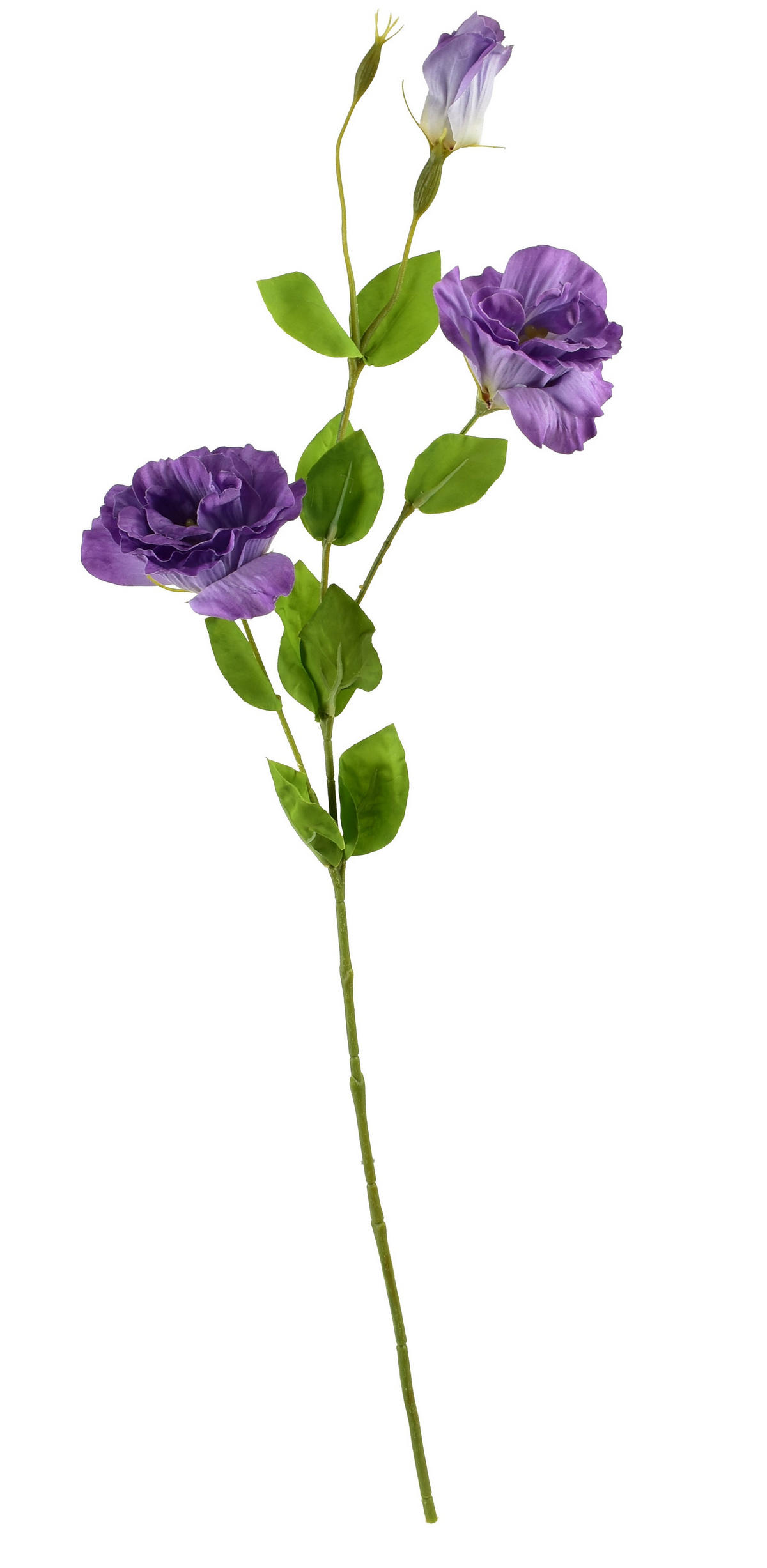 UMĚLÁ KVĚTINA, Eustoma - zelená barva, plast (70cm) - Mondex
