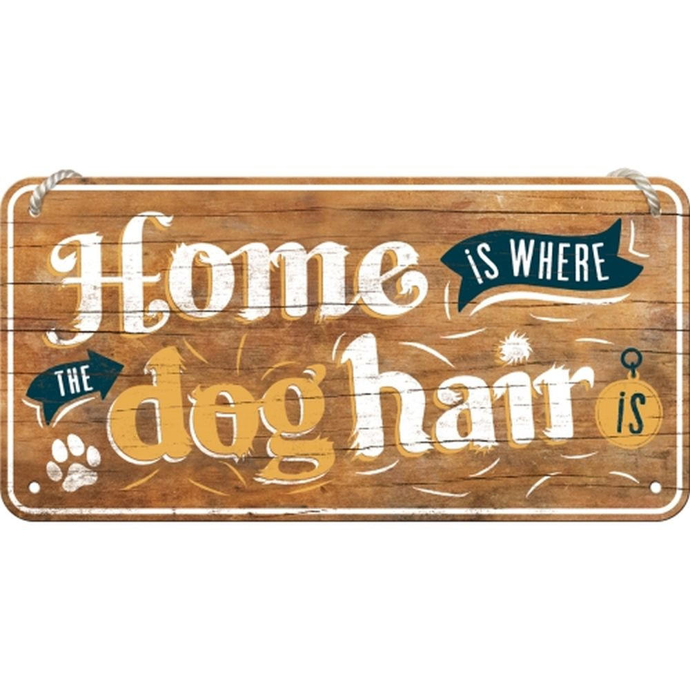 HÄNGESCHILD 10/20 cm Animal Club Home is where the dog hair is - Multicolor, Metall (20/10/0.2cm) - Nostalgic-Art