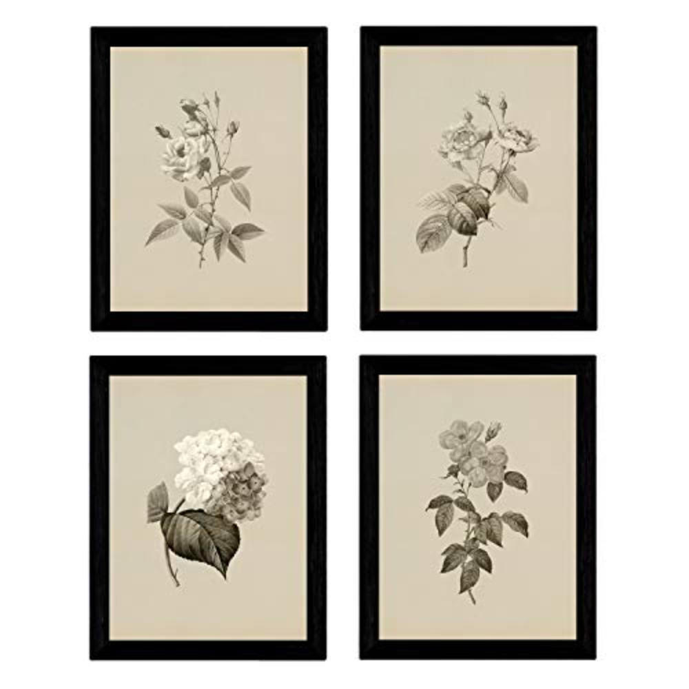 POSTER Set mit 4 Botanischen Stils Rosa weich Jahrgang Hintergrund A3 Rahmenlos - Klar, Papier (29.7/3cm) - Nacnic